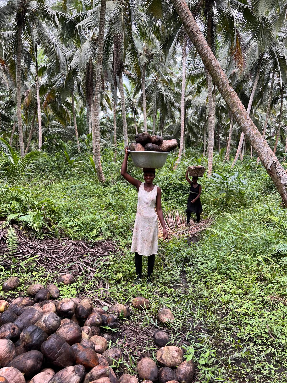 オーガニックドライココナッツ ガーナ産 40g 3袋