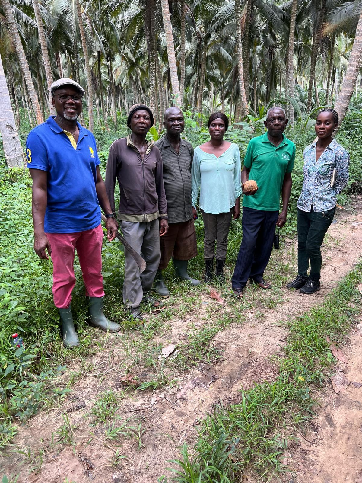 オーガニックドライココナッツ ガーナ産 40g 3袋