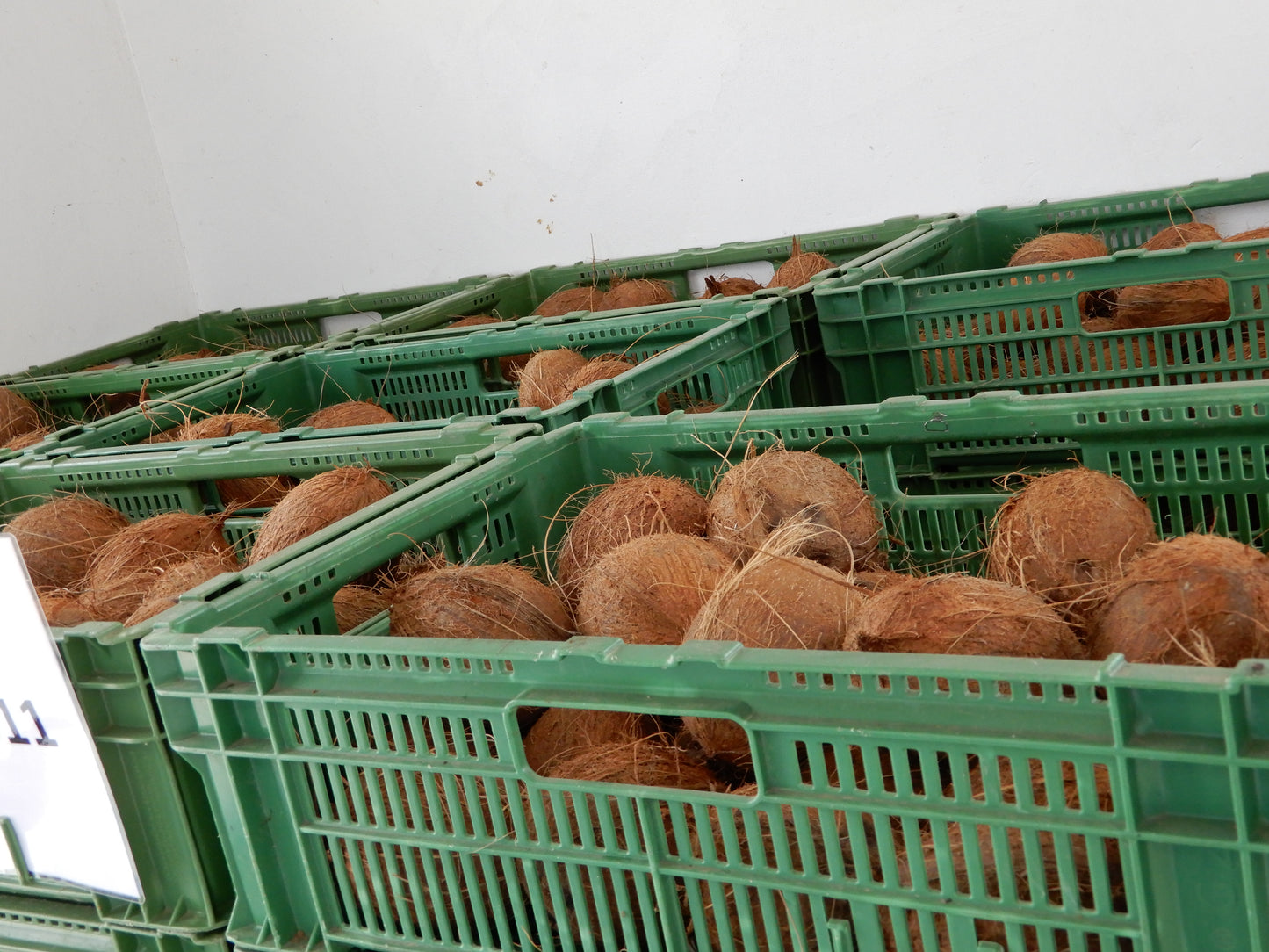 オーガニックドライココナッツ ガーナ産 40g 3袋