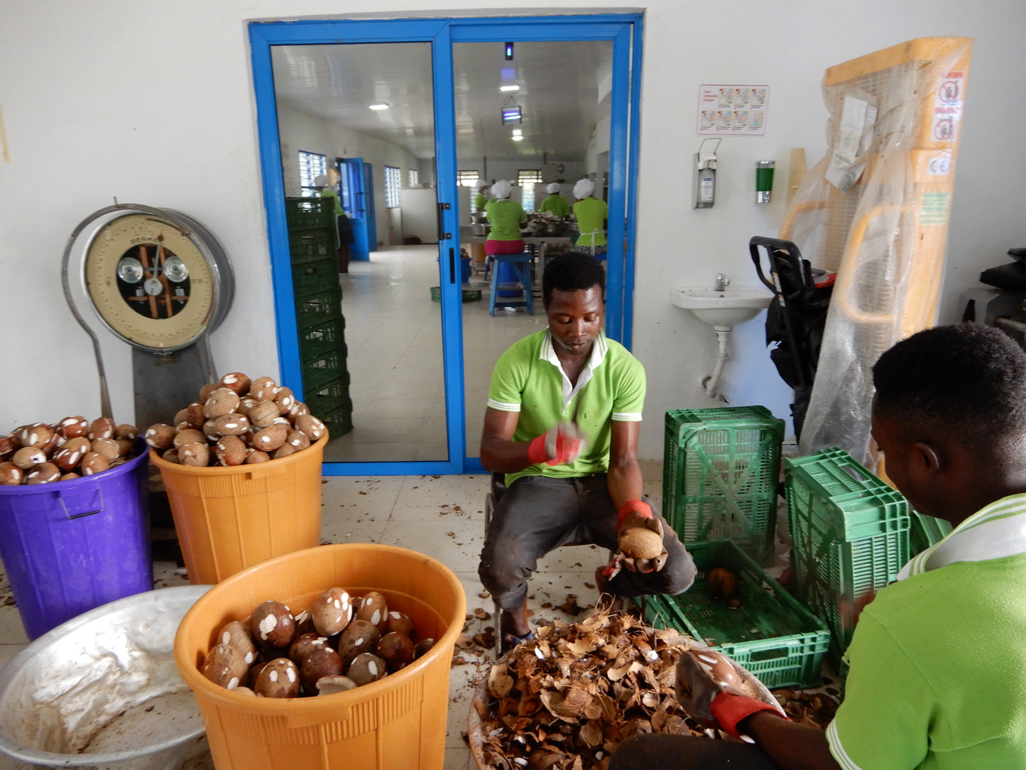 オーガニックドライココナッツ ガーナ産 40g 3袋